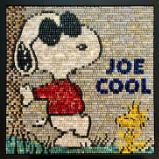 Joe Cool (Sold)