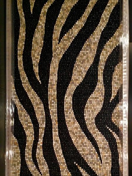 Zebra Stripes 