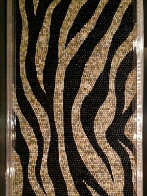 Zebra Stripes 