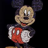 Mickey Mouse (2013) SOLD
