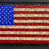 Our Flag Was Still There (2026)