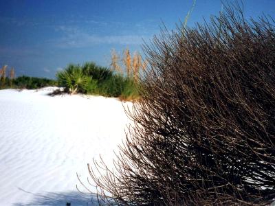 Tumbleweed Beach