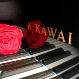 Rose on Kawai