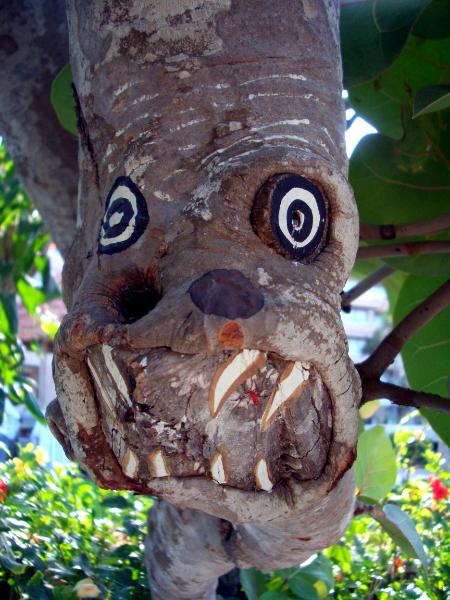 Tree Face