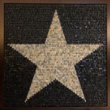 Star of Texas Edition 2 (2021)